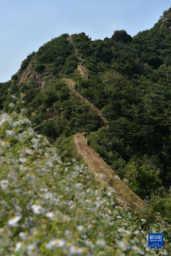 线上mg投注